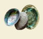 Preview: Echter Perlmutt Knopf See-Opal Paua Shell